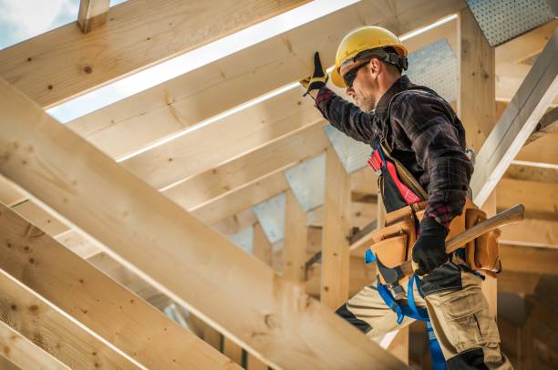 Best Roof Maintenance Services  in Robstown, TX