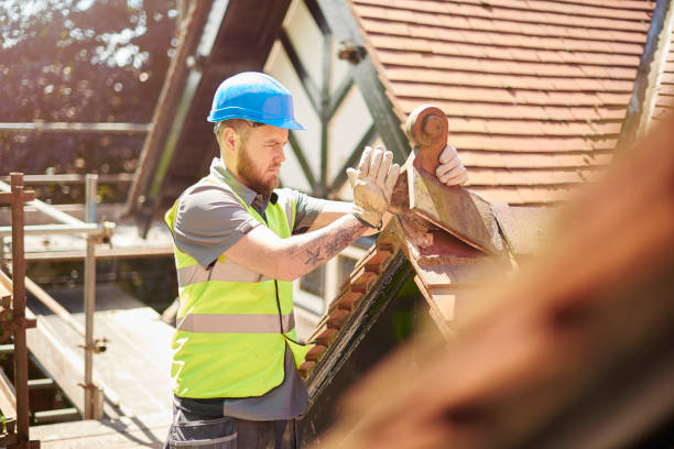 Professional Roofing Contractor in Robstown, TX